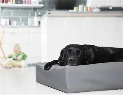 Produktbild von Bia Bed Hondenmand Original Grijs