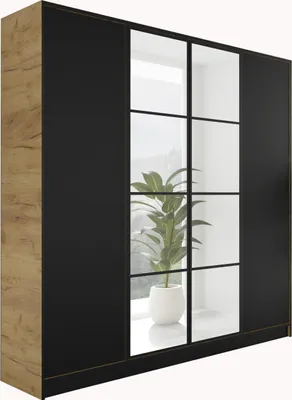 A wardrobe with black doors and wood-effect side panels, featuring a plant in a pot visible through glass panels.