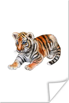 Produktbild von MuchoWow® Poster Tiger - Klein - Weiß 20x30 cm - Papierdruck