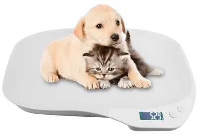 Productafbeelding van Dierenweegschaal voor kleine dieren, 15 kg, digitale weegschaal met LCD-display