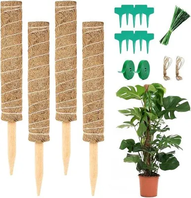Productafbeelding van Famanu plantensteunen set, 4 stuks, 40 cm - Kokosstokken voor kamerplanten