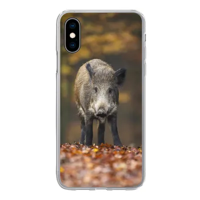Produktbild von MuchoWow® Handyhülle Schutzhülle Hülle für iPhone X Wildtier - Wald - Herbst Silikon Softcase Handy Hülle - Handyhülle