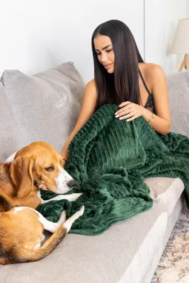 A woman and a dog are on a couch with a blanket.