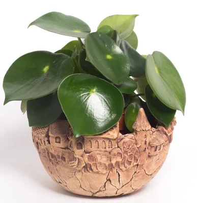 Produktbild von Übertopf "Oskartopf" (19.00 cm) Kugelform