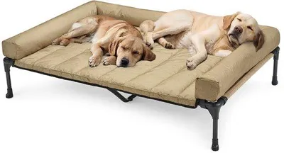 Immagine prodotto di Cuccia rialzata per cani, beige, 150x95x22,5 cm, in rete traspirante