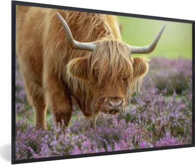Produktbild von MuchoWow® Gerahmtes Poster Schottische Highlander - Blumen - Natur 60x40 cm - Poster mit Schwarzem Bilderrahmen Wandposter Rahmen Foto Bilder - Printing - Wanddeko Schlafzimmer