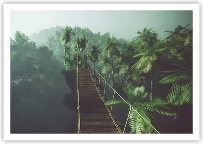 Produktbild von Poster - Poster ohne Rahmen - Dschungel Palme Brücke - 100x70 cm - Wand Bild - Wanddeko - Wandbilder - Kunstposter - Wandposter - Bilder - Kunstdruck - Wanddekoration - Wandbild - P2XAA100x70-3674