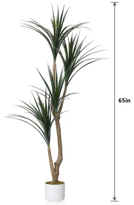 Immagine prodotto di Drago artificiale, Dracaena Marginata - Pianta artificiale in vaso - Altezza 165 cm - Aspetto estremamente realistico - Vaso bianco - Adatto per soggiorno, ufficio, ingresso - Verde