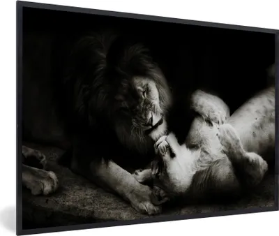 Produktbild von MuchoWow® MuchoWow® Gerahmtes Poster Löwe - Schwarz - Weiß 30x20 cm - Poster mit zchwarzem Bilderrahmen - Kunstdruck - Bild-Poster