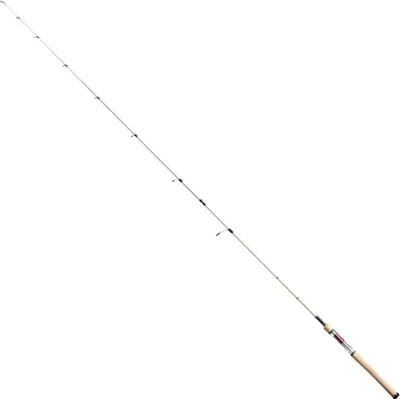 Zdjęcie produktu dla Rapala Classic Countdown H 244cm 21-77g - Spinnrute
