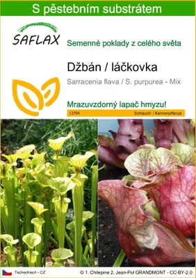 Obrázek produktu pro SAFLAX - džbán / láčkovka - Sarracenia flava / S. purpurea - Mix - 10 Semena - S pěstebním substrátem bez klíčků