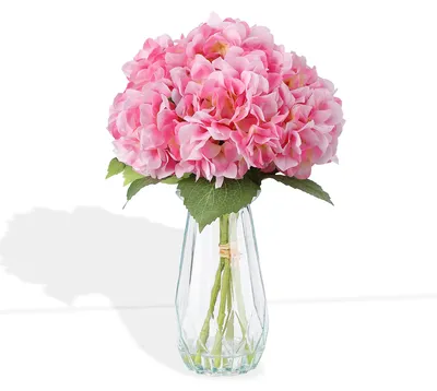 Produktbild von Künstliche Hortensie in Glasvase mit Wasserimitierung, 150 cm - Rosa – Realistische Zimmerpflanze für Zuhause, Büro und Terrasse, pflegeleicht