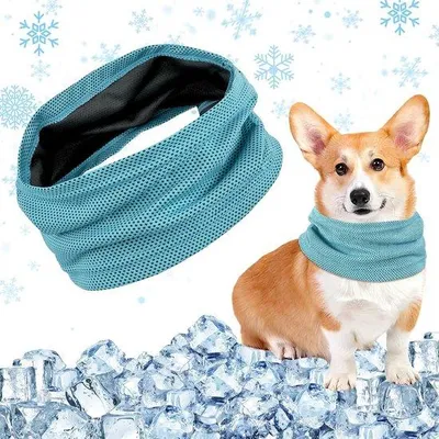 Produktbild von Famanu Kühlhalsband für Hunde - Sommerliche Erfrischung