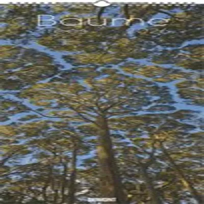 A calendar page featuring a photograph of trees against a blue sky.