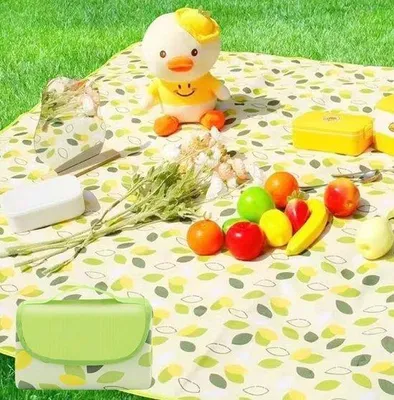 Produktbild von Famanu Picknickdecke 200 x 200 cm - XXL - sandbeständig - faltbar - mit Handgriff - wasserfest - für Strand und Outdoor