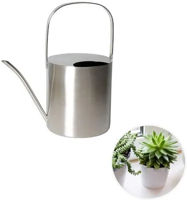 Produktbild von Ibenzoa® Gießkanne aus gebürstetem Edelstahl, 2,5 l – rostfrei, ergonomischer Griff & lange schmale Ausgusstülle für präzises Gießen