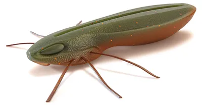 Produktbild von Nays BG 2.5" 6.4cm (5Stk) C-29