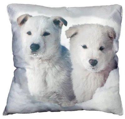 Produktbild von Couchkissen weißer Schäferhund Welpe als Dekokissen Tierkissen 45x45cm
