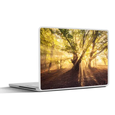 Produktbild von MuchoWow® Laptop Aufkleber Sticker Cover Baum - Wald - Sonne 36.5x27.5 cm - Laptop-Sticker