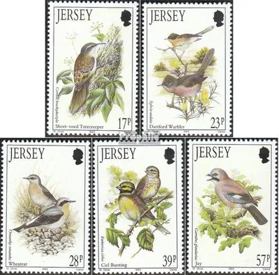 Produktbild von Briefmarken GB - Jersey 1993 Mi 630-634 (kompl.Ausg.) gestempelt Zugvögel