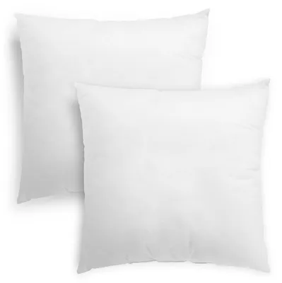 Image de 2 coussins en fibres 45 x 45 cm, avec garnissage, pour canapé, coussins décoratifs, lavables, sleepling