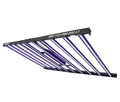 Image de Zeus 1000W Pro Evo 3.1