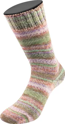 Produktbild von Lana Grossa - Landlust die Sockenwolle 6-F 150g 939 helloliv khaki braunbeige flieder tonrot weißgrün meliert