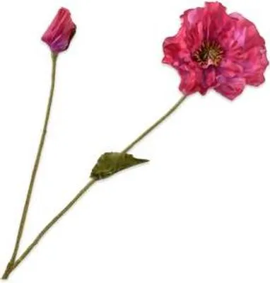 Produktbild von Kunstblume von Silk-ka – Seidenblumen-Mohnzweig, rot, 74 cm