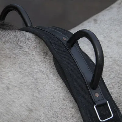 Produktbild von HKM Longiergurt -Canvas- mit Doppelgriff, Farbe:schwarz, Größe:Mini Shetty