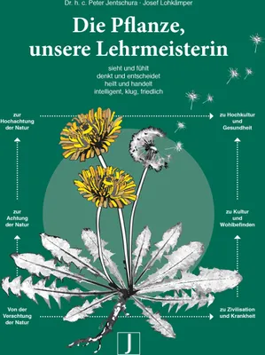 Produktbild von Die Pflanze, unsere Lehrmeisterin