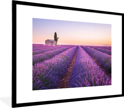 Produktbild von MuchoWow® Gerahmtes Poster Lavendel - Sonnenuntergang - Lila - Blumen 80x60 cm - Poster mit Schwarzem Bilderrahmen Wandposter Rahmen Foto Bilder - Schlafzimmer-Dekorationen - Fotoposter