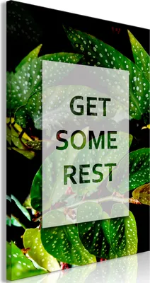 Produktbild von Vlies Leinwandbild - Get Some Rest (1 Part) Vertical 20x30 cm Text m-A-0975-b-a