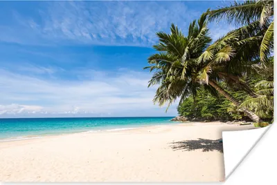 Produktbild von MuchoWow® Poster Strand - Tropen - Meer 180x120 cm - Fotoplakat