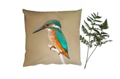 Produktbild von MuchoWow® Zierkissen Sofakissen Wohnzimmer Dekokissen 45x45 cm Eisvogel - Tiere - Vogel - Schlafpolster - Polster für das Sofa