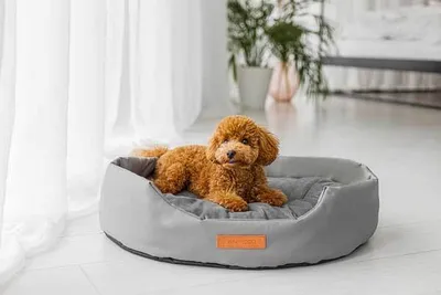 Produktbild von Animood Hundebett Haustierbett Mia Größe L 72x61x15cm grau