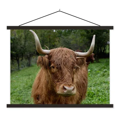 Produktbild von MuchoWow® Textilposter Schottische Highlander - Tiere - Gras 40x30 cm mit schwarzem Rahmen - Dekorationen