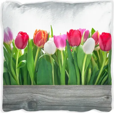 Produktbild von Wallario Premium Kissen, weiche Oberfläche, mit Motiv Rote  weiße und pinke Tulpen im Frühling, Größe: 30 x 30 cm, mit weißer Rückseite