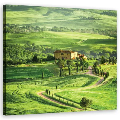 Produktbild von Leinwandbild landschaften - grün 60x60 cm Feeby grün wandbild bereit zum aufhängen