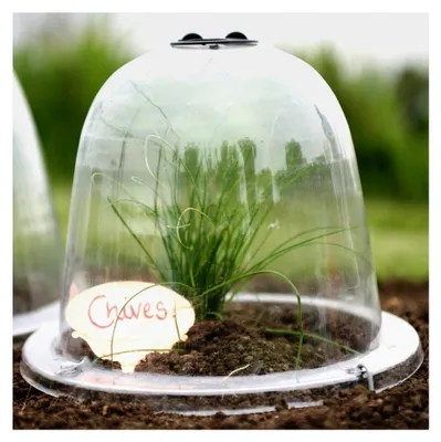 Produktbild von Haxnicks viktorianische Glocke, transparent, 3 Stück