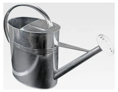 Produktbild von verzinkte Gießkanne 10 Liter