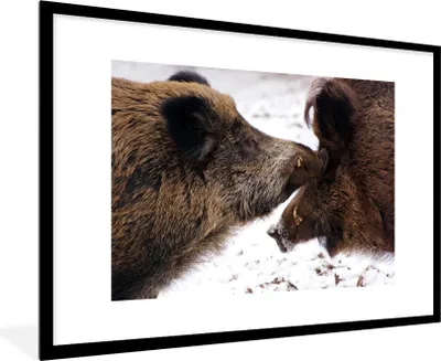 Produktbild von MuchoWow® MuchoWow® Gerahmtes Poster Wildschwein - Tier - Schnee 90x60 cm - Poster mit zchwarzem Bilderrahmen - Wanddekoration - Fotos