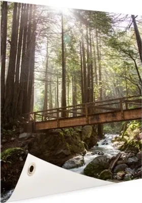 Produktbild von Gartenposter - 40x60 cm - Amerikanischer Waldfotodruck  - Modernes Wandbilder