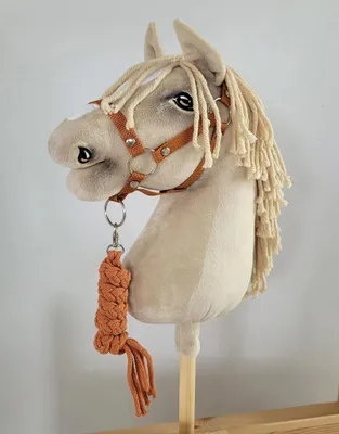 Produktbild von Hobby Horse Set: A3 Halfter + Seilleine - Rot