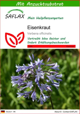 Produktbild von SAFLAX  - Eisenkraut - Verbena officinalis - 250 Samen - Mit keimfreiem Anzuchtsubstrat