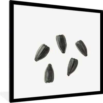 Produktbild von MuchoWow® Gerahmtes Poster Schwarze Sonnenblumenkerne auf weißem Hintergrund 40x40 cm - Poster mit Schwarzem Bilderrahmen Wandposter Rahmen Foto Bilder - Mit Rahmen - Wanddekoration Schlafzimmer