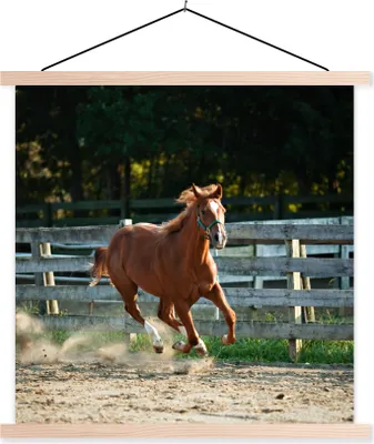 Produktbild von MuchoWow® Textilposter Pferd - Licht - Sand 40x40 cm mit holzfarbenen Rahmen - Posterleiste
