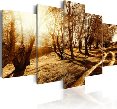 Produktbild von Leinwandbilder 200x100 cm Vlies Leinwandbild 5 tlg Kunstdruck modern Wandbilder XXL Wanddekoration Design Wand Bild - Bäume Weg Natur c-B-0029-b-p