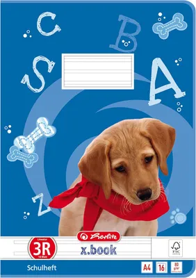 Immagine prodotto di herlitz 300003303 herlitz Quaderno x.book, DIN A4, righe 3 / a righe