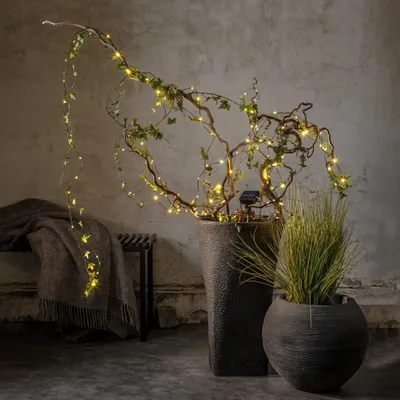 Productafbeelding van Star Trading 483-00, Verlichte decoratieve lichtketting, Groen, Groen, 100 lampjes, Lampjes niet vervangbaar, LED