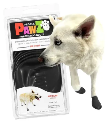 Immagine prodotto di Stivali per cani PAWZ PAWB-M, neri